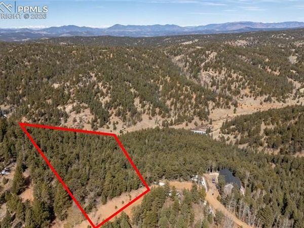 107 Haven Road, Divide, CO 80814