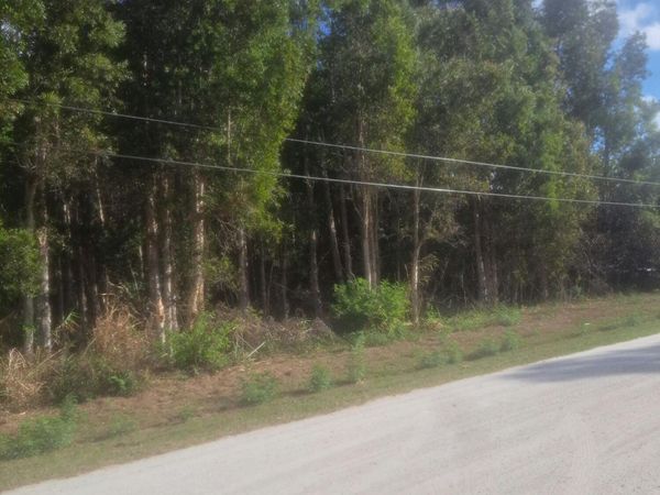 14845 62nd Court N, The Acreage, FL 33470