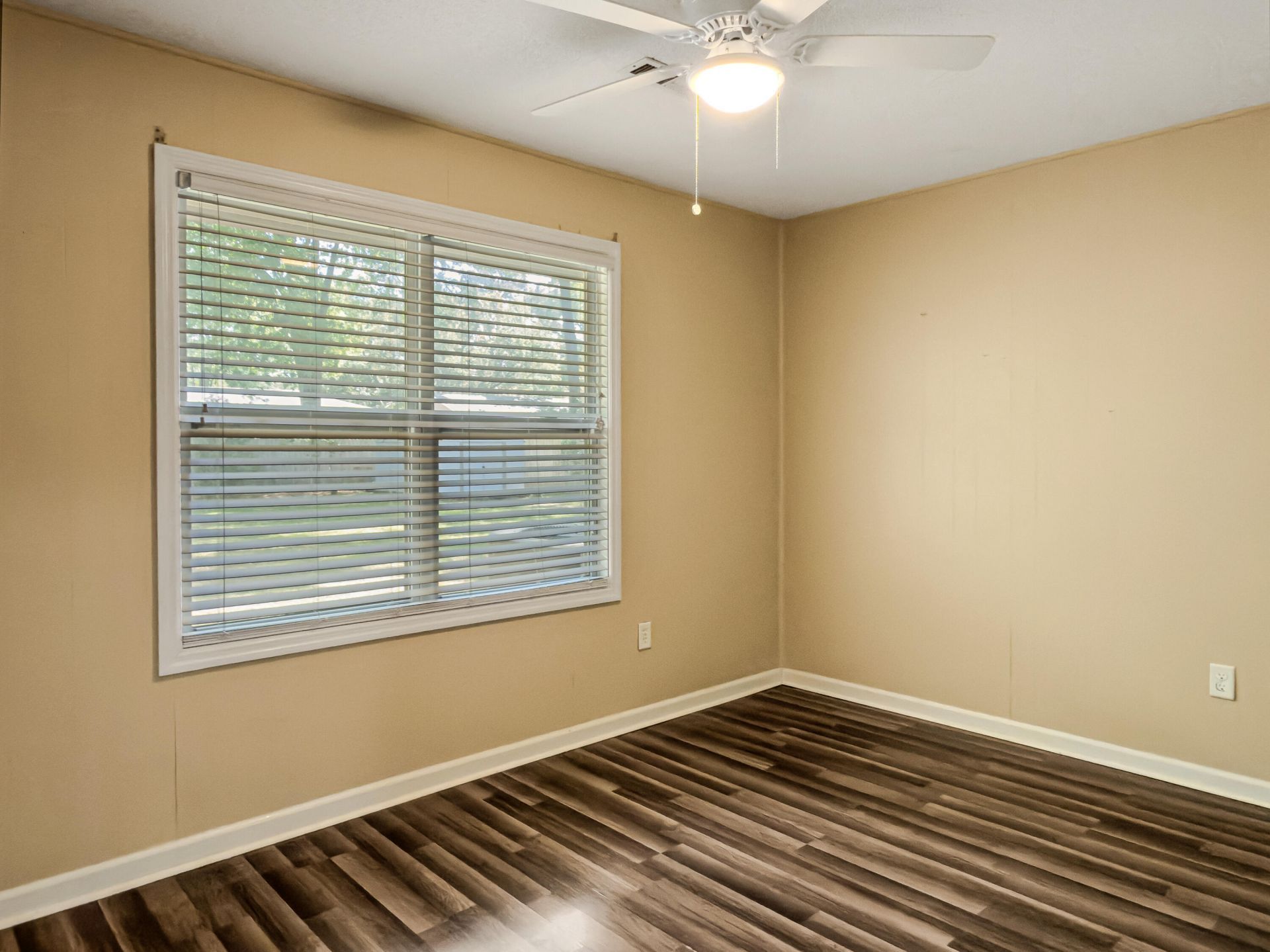 742 Olney Road Photo 20