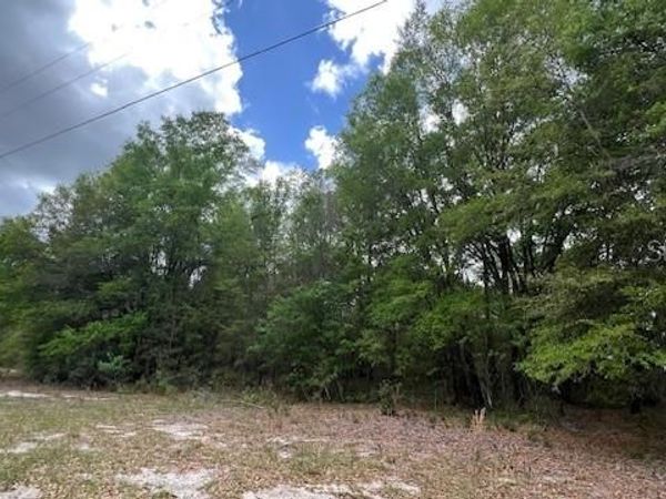 3320 SW 157TH TERRACE , ARCHER, FL 32618