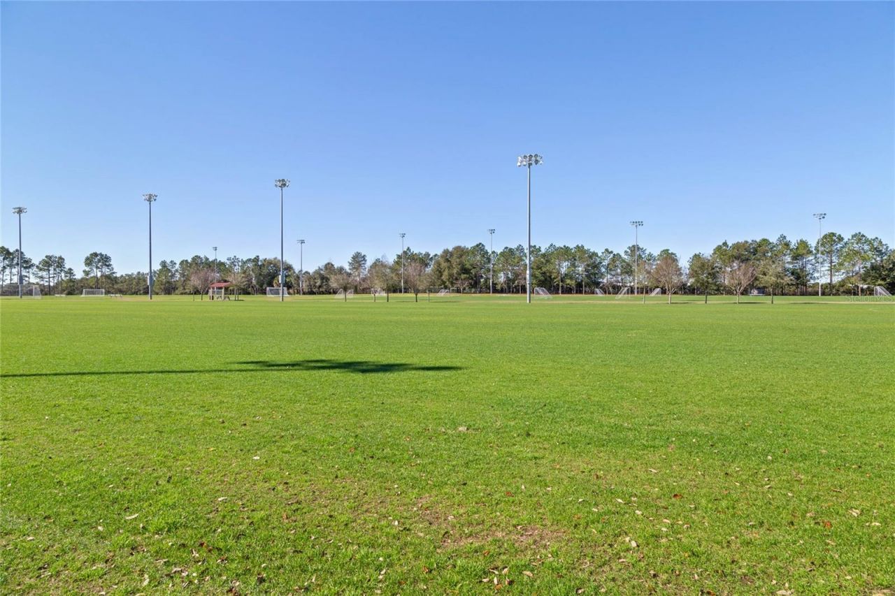 3609 Apopka Ridge Cir, Apopka, FL 32703 Photo