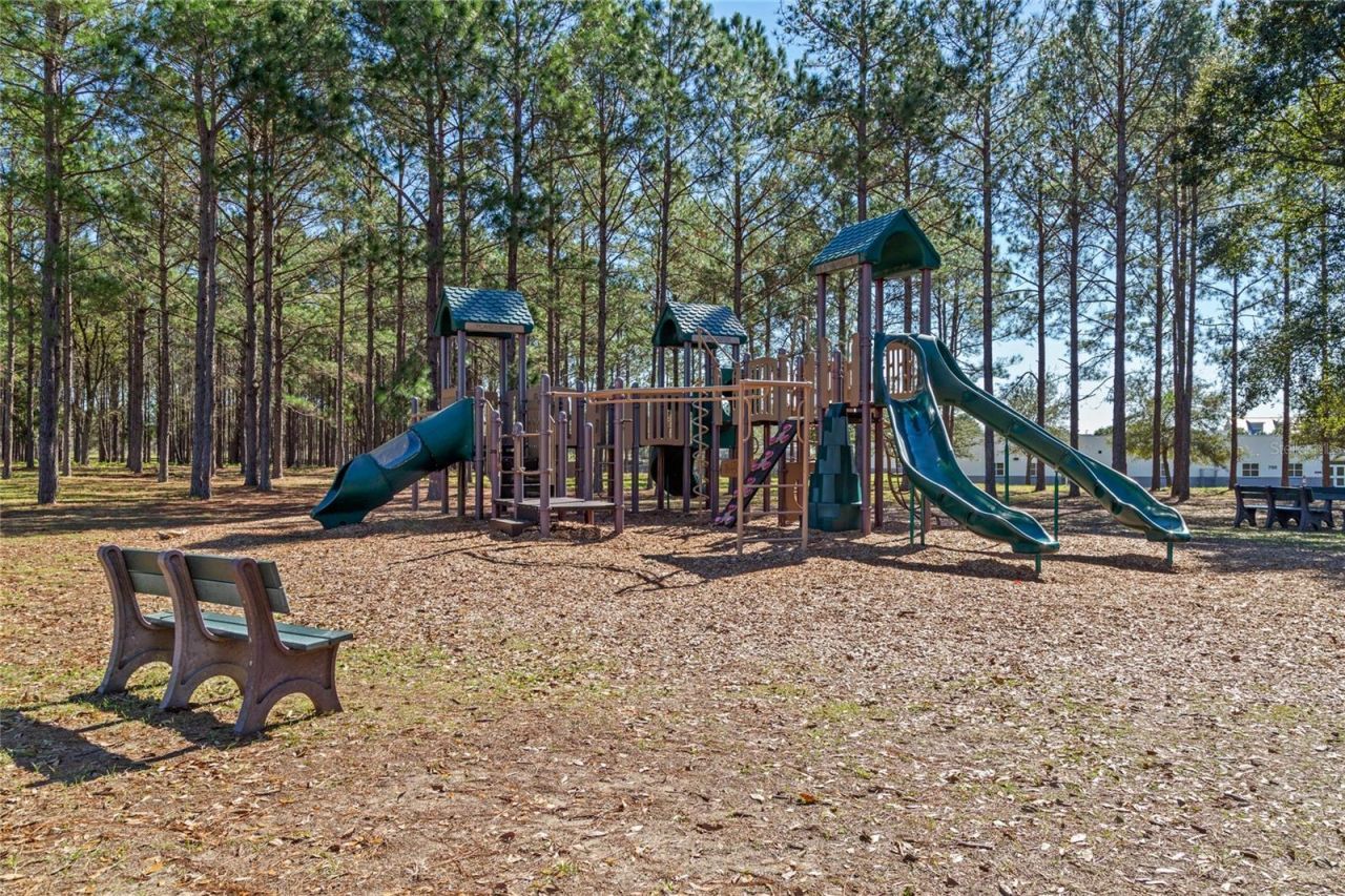 3609 Apopka Ridge Cir, Apopka, FL 32703 Photo