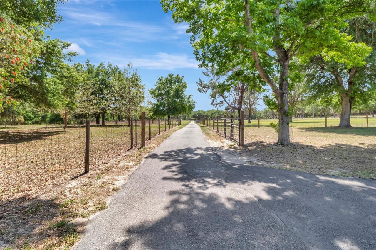 12305 Howey Cross Road, Clermont, FL 34715 Photo