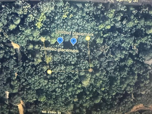 NE 239TH PLACE, ORANGE SPRINGS, FL 32182