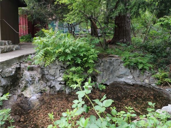 13992 Irving Lane, Lytle Creek, CA 92358