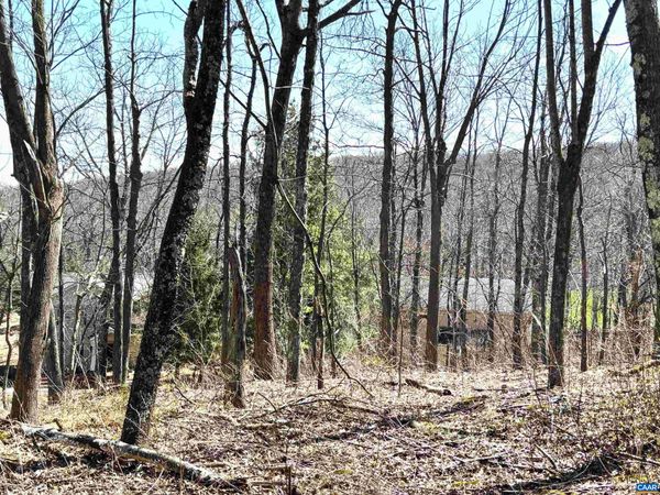 433 LAUREL SPRINGS DR, Wintergreen Resort, VA 22967