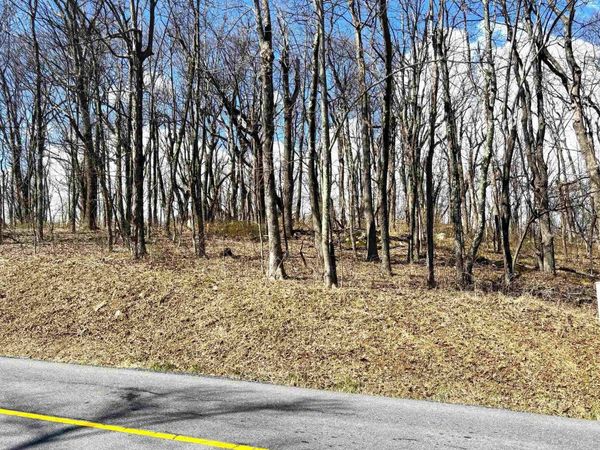 433 LAUREL SPRINGS DR , Wintergreen Resort, VA 22967