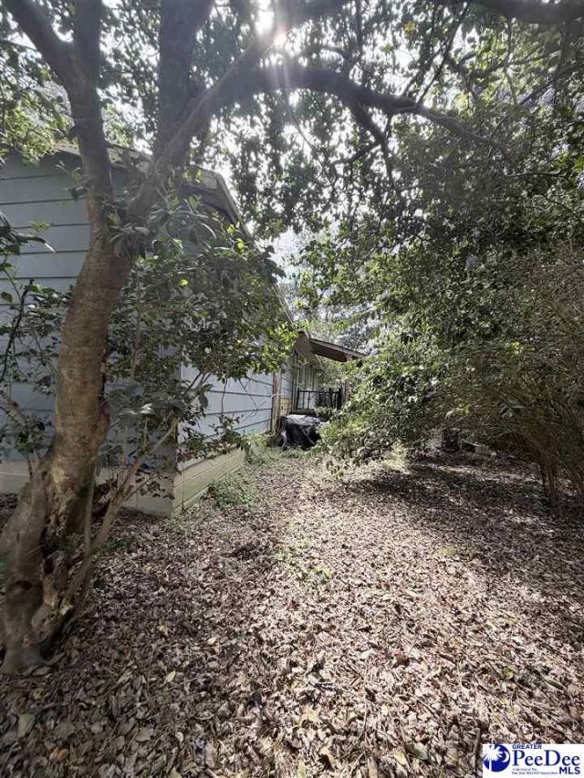 113 Rogers Street Photo 14