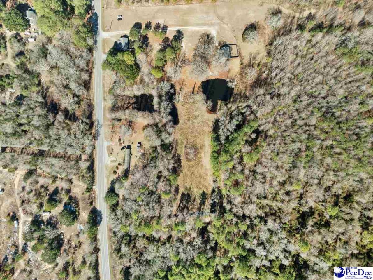 2443 Hwy 52s Photo 15