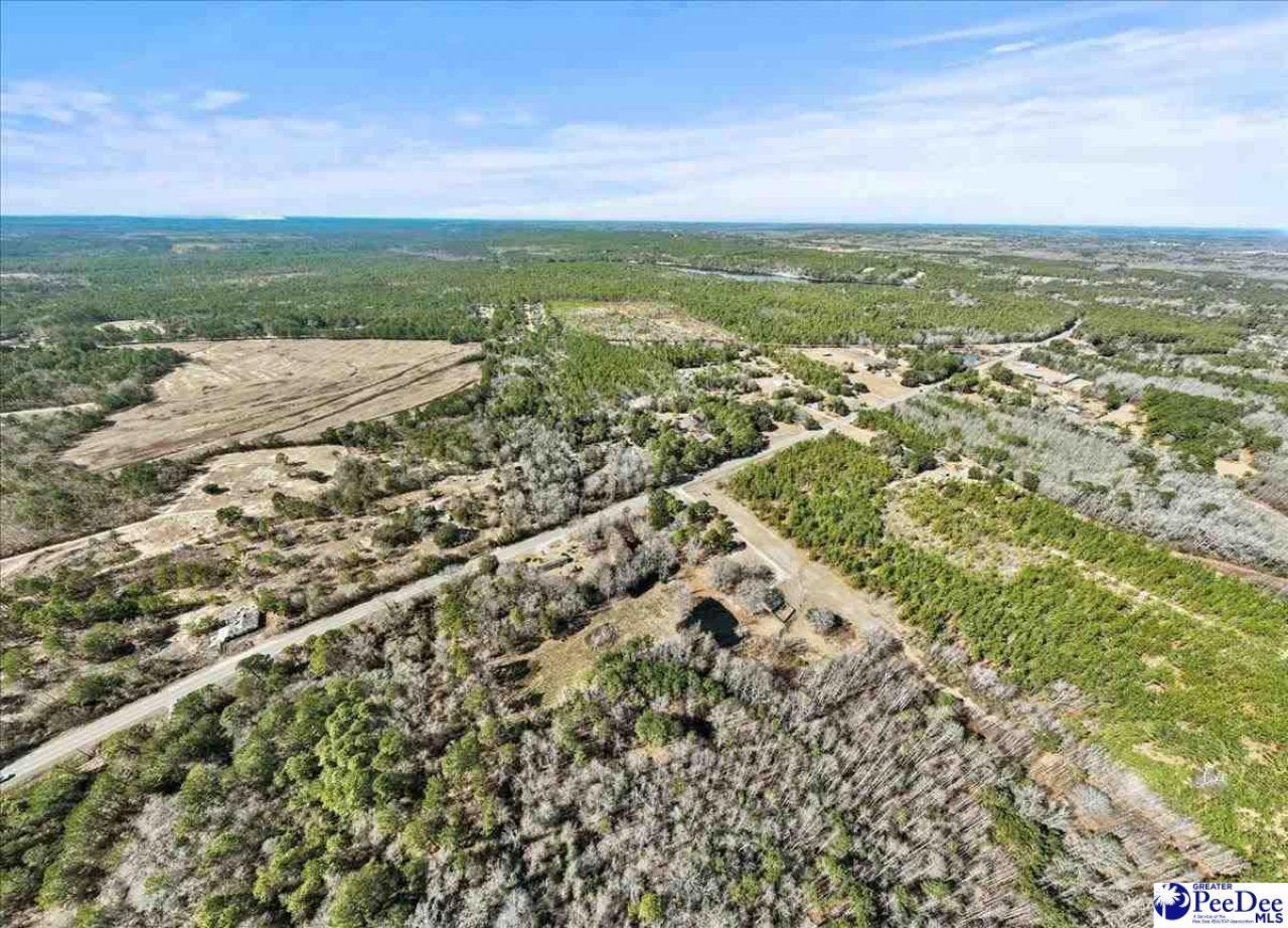 2443 Hwy 52s Photo 19