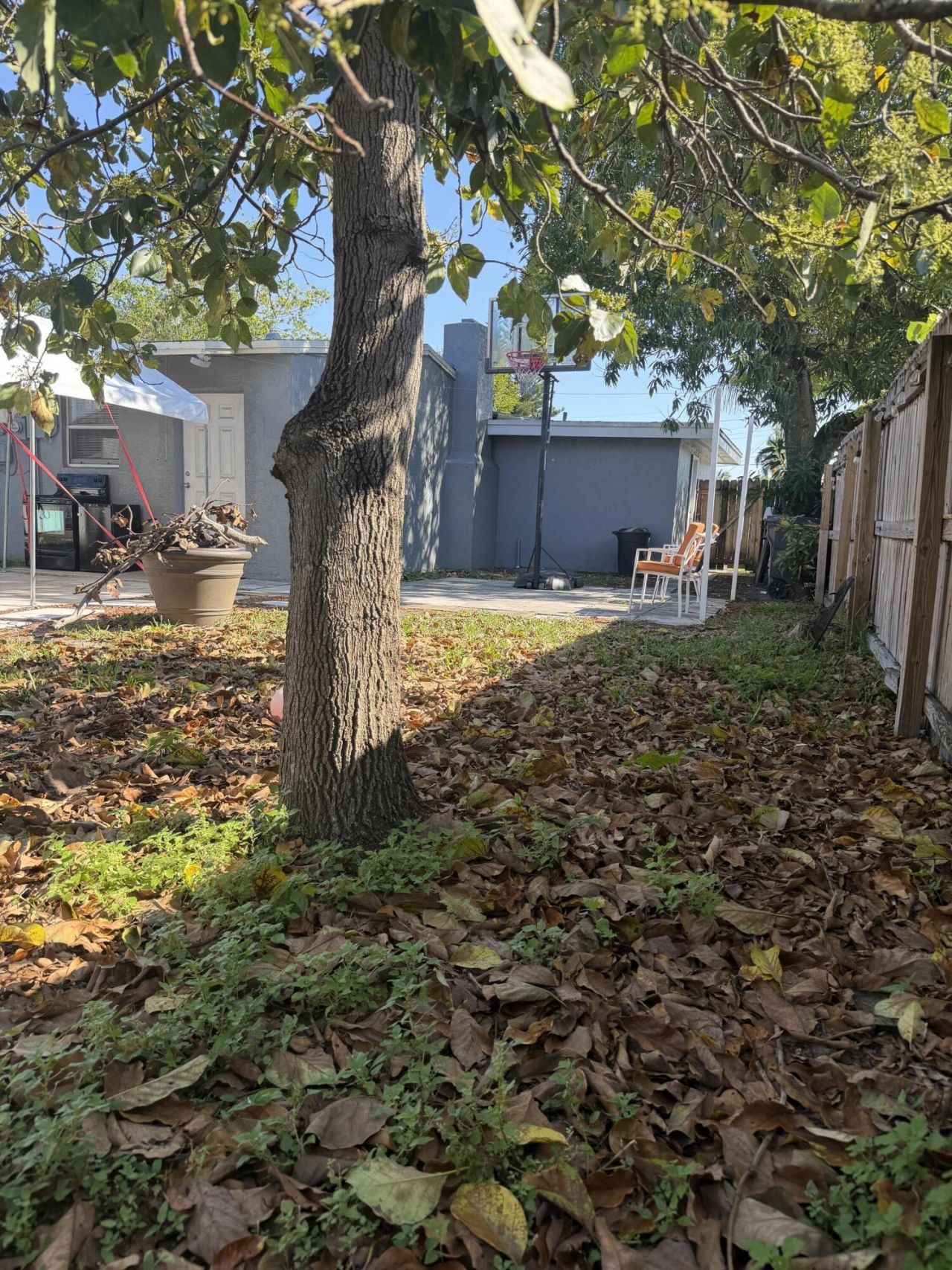 729 Cherry Road, West Palm Beach, FL 33409 Photo