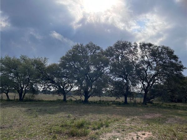 1022 County Road 438 , Yoakum, TX 77995