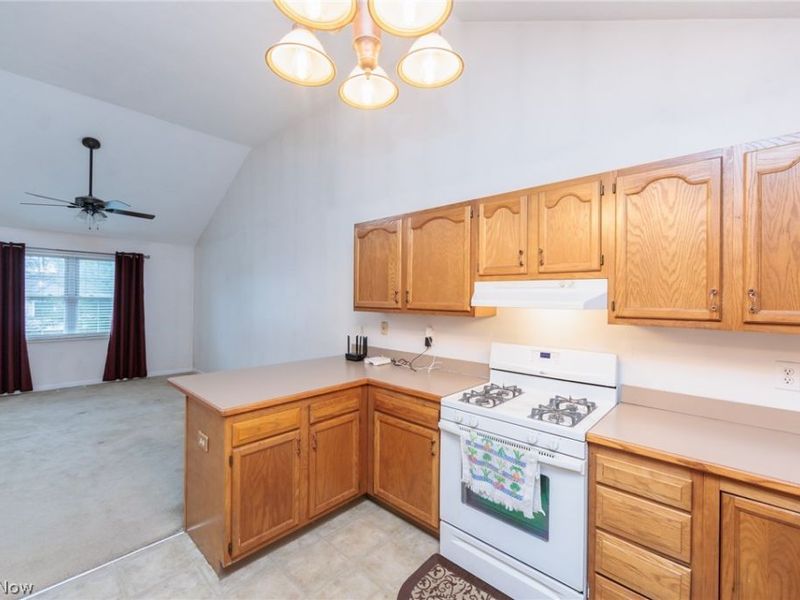 9546 Cyprus Lane , Olmsted Falls, OH 44138 Photo 14