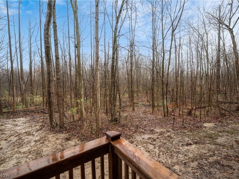 11765 Sherwood Trail, Chesterland, OH 44026 Photo 45