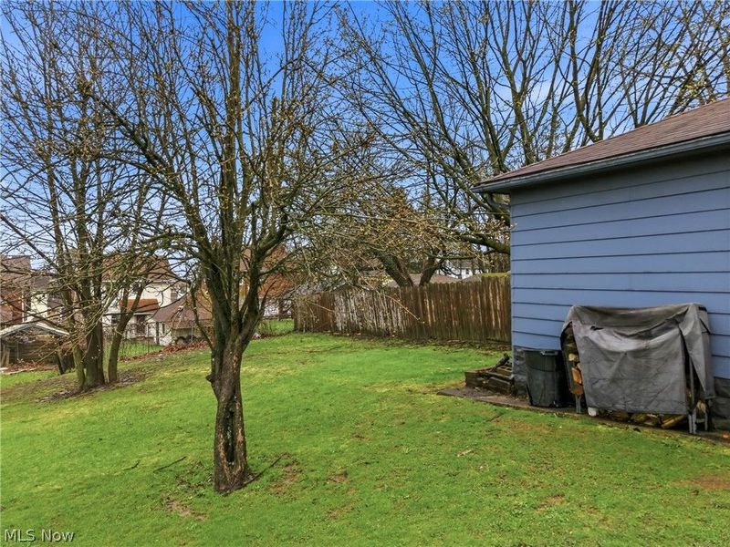211 N Belle Vista Avenue, Youngstown, OH 44509 Photo 26
