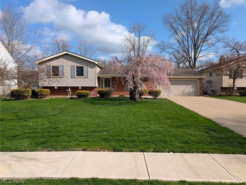 26530 Locust Drive, Olmsted Falls, OH 44138 Photo 1