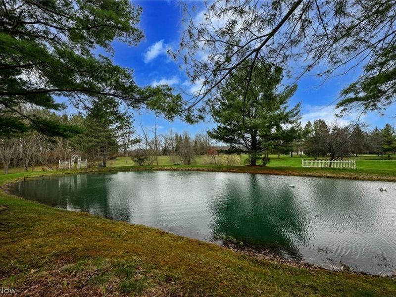 2936 Substation Road, Medina, OH 44256 Photo 35