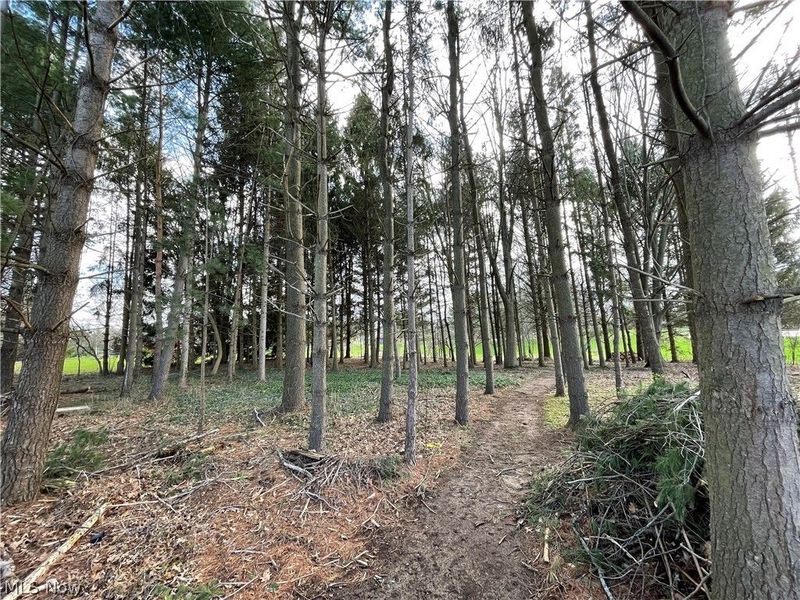 2936 Substation Road, Medina, OH 44256 Photo 48