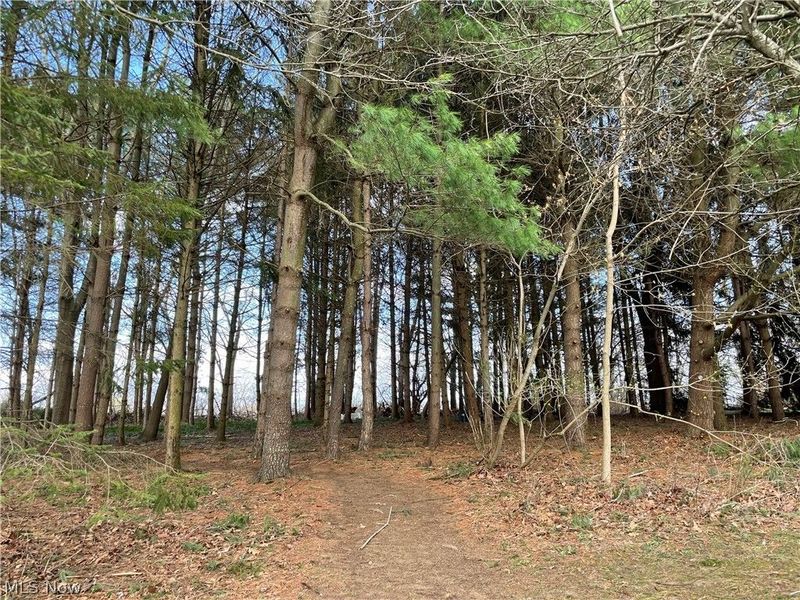 2936 Substation Road, Medina, OH 44256 Photo 49