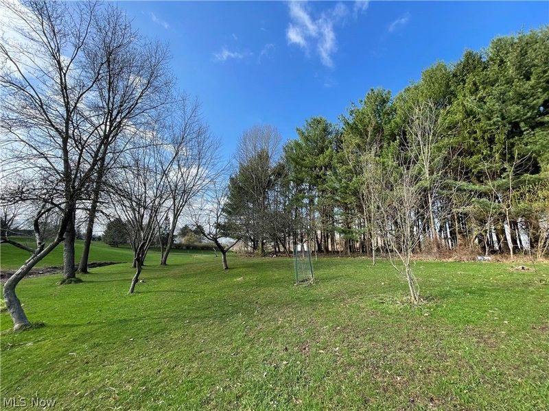 2936 Substation Road, Medina, OH 44256 Photo 50