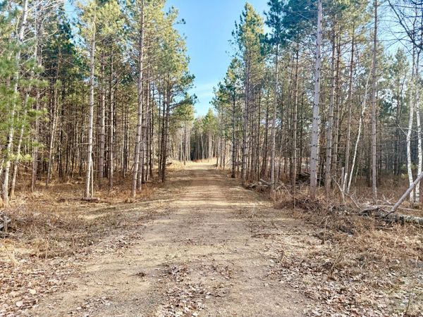 TBD 64th Street SW, Pequot Lakes, MN 56472