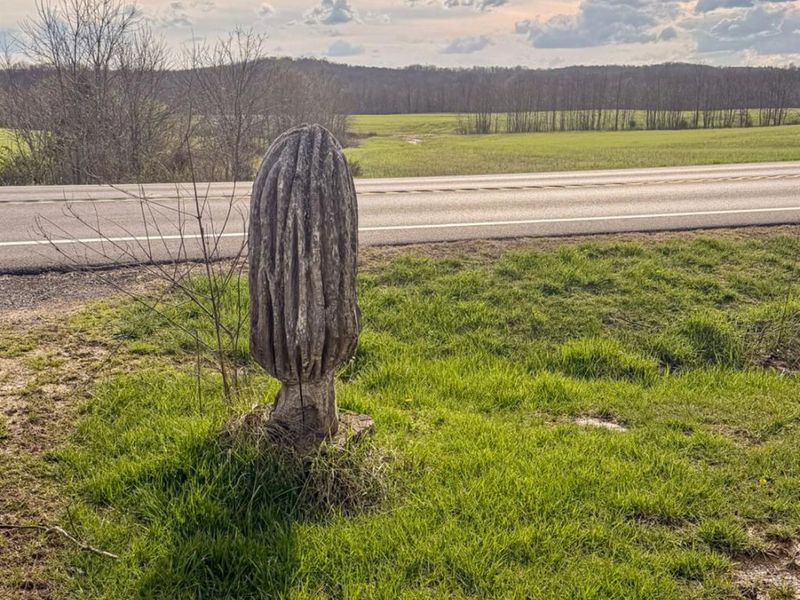 2240 St Rt 73, Jackson Twp, OH 45133 Photo 10