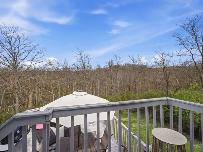 5942 Cedaridge Drive, Green Township, OH 45247 Photo 60