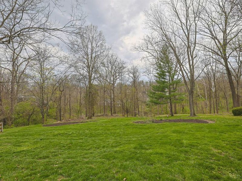 419 Reily Road, Wyoming, OH 45215 Photo 57