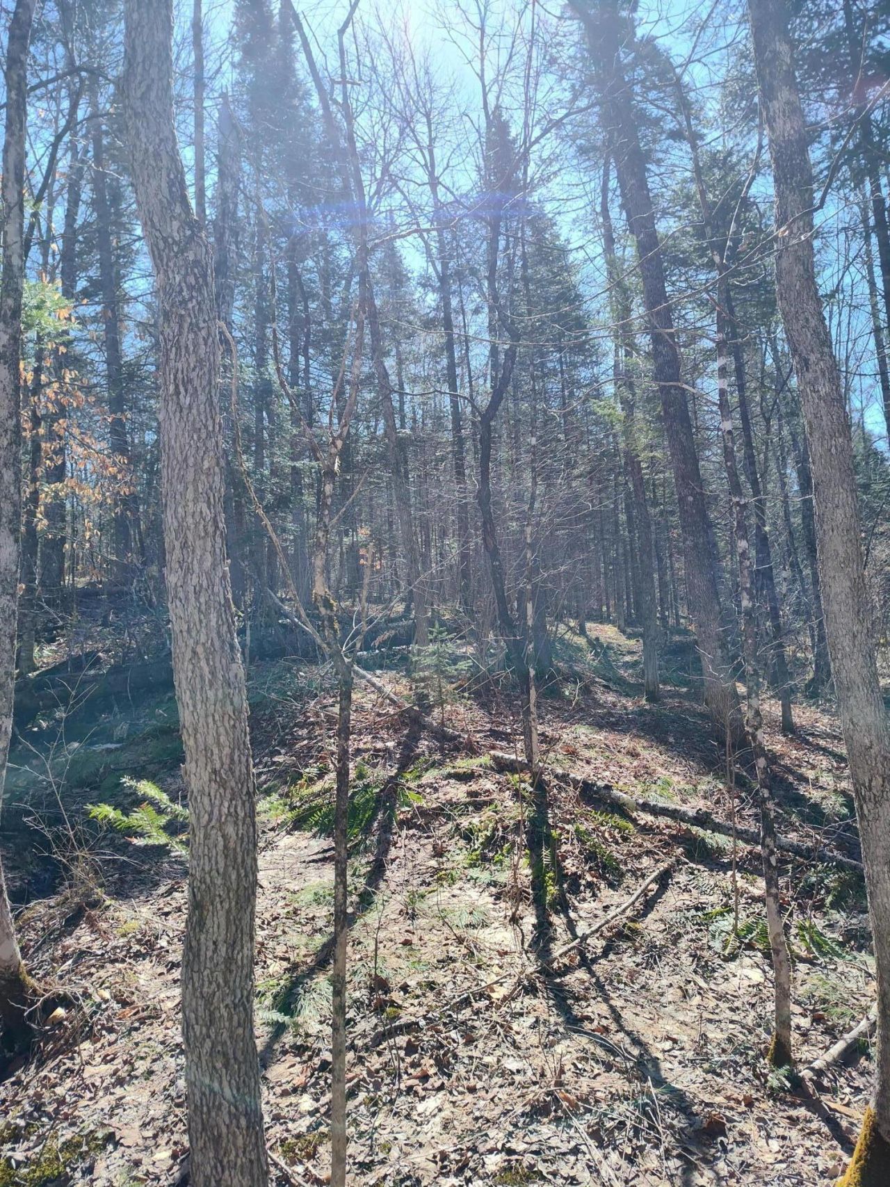 Lot 163 Page Hill Road, Ripley, ME 04930 Main Photo