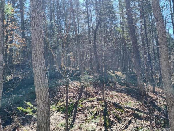 Lot 163 Page Hill Road, Ripley, ME 04930