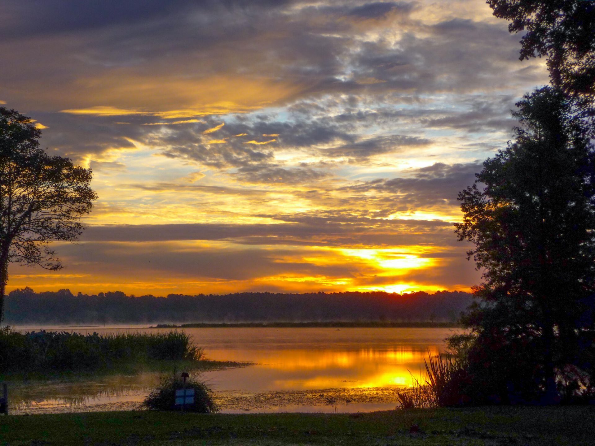 1805 Ringneck Road Photo 40