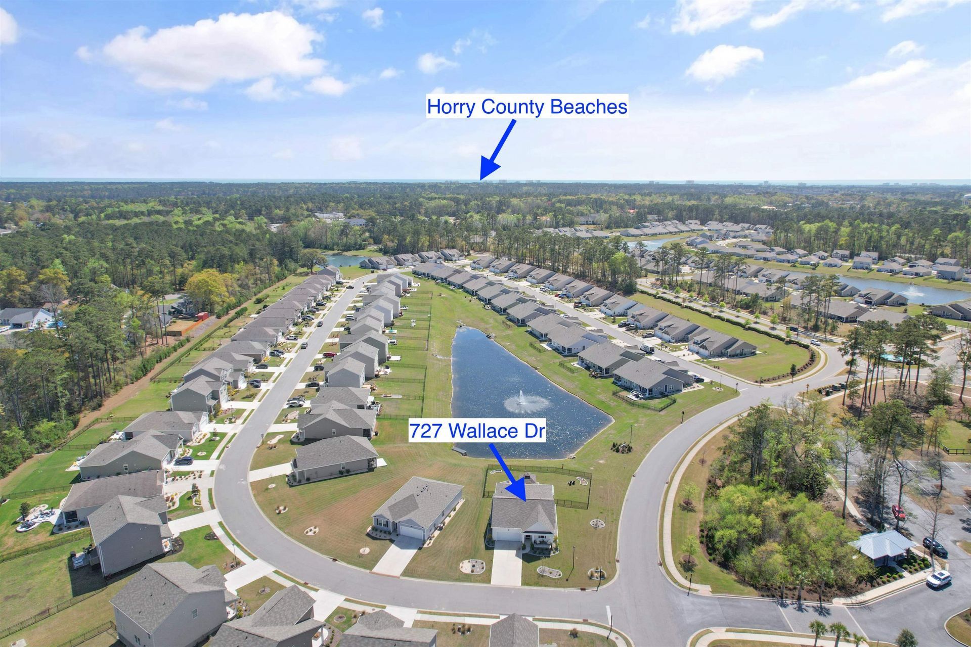 727 Wallace Dr. Photo 39