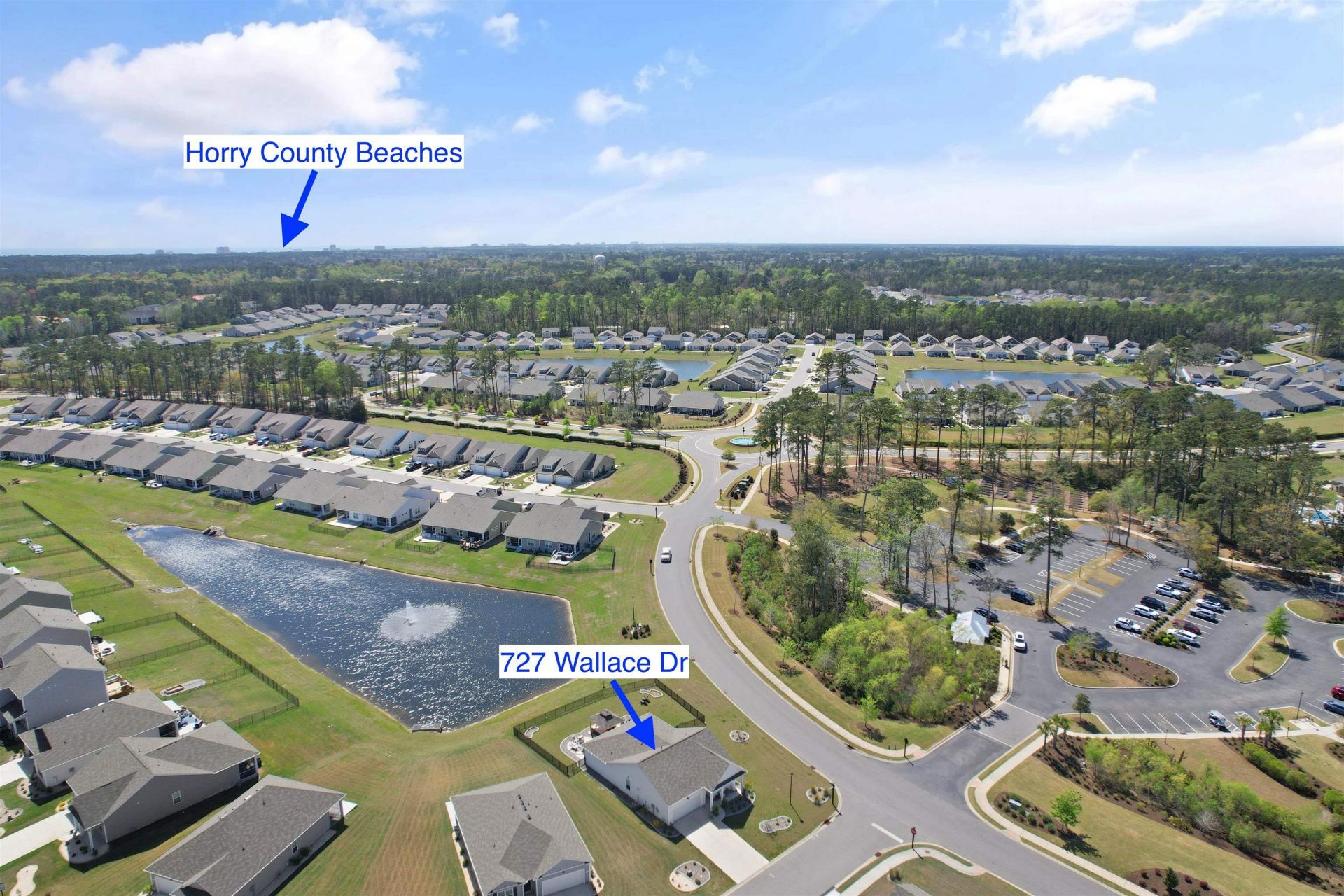 727 Wallace Dr. Photo 40