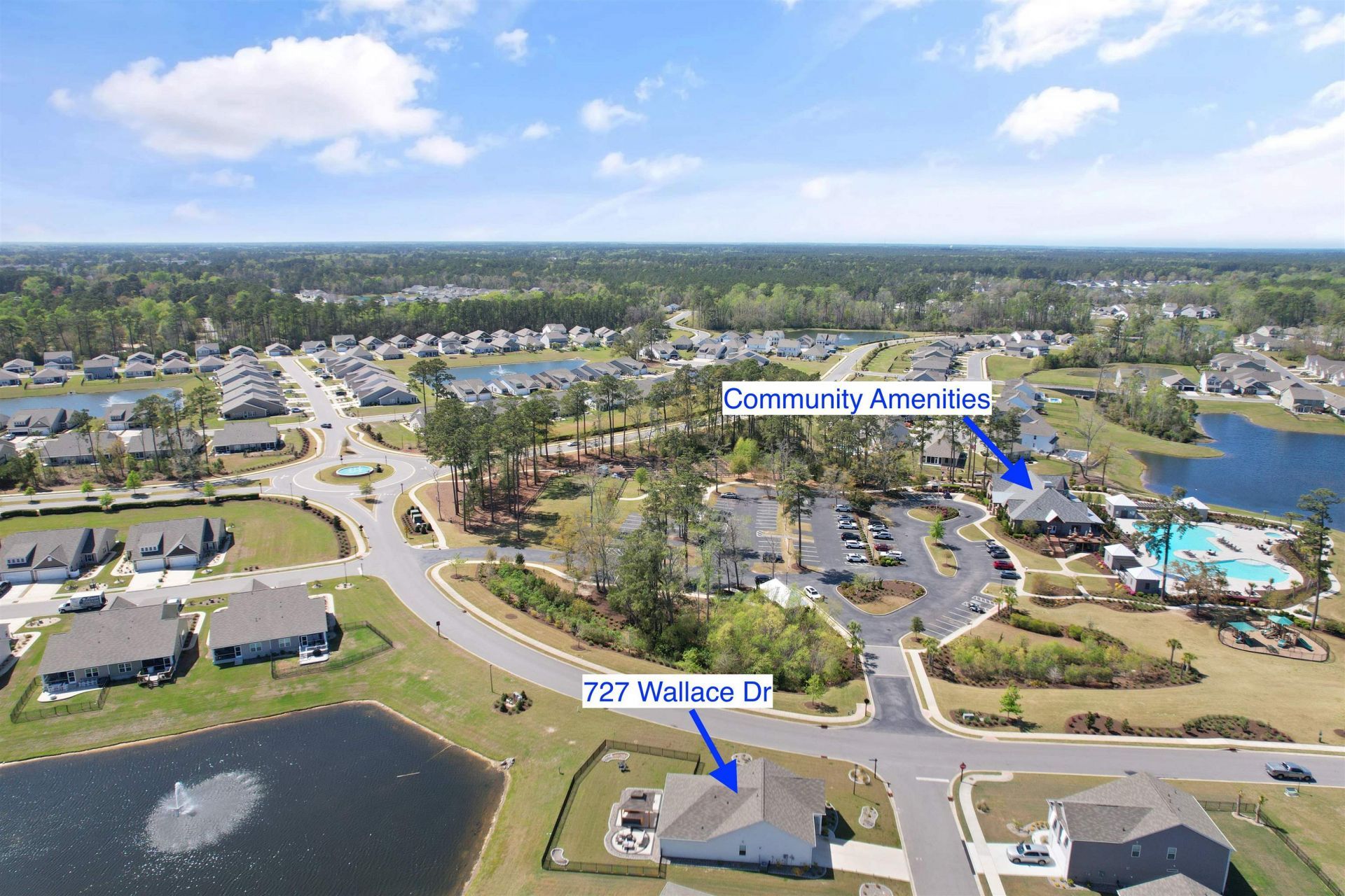 727 Wallace Dr. Photo 41