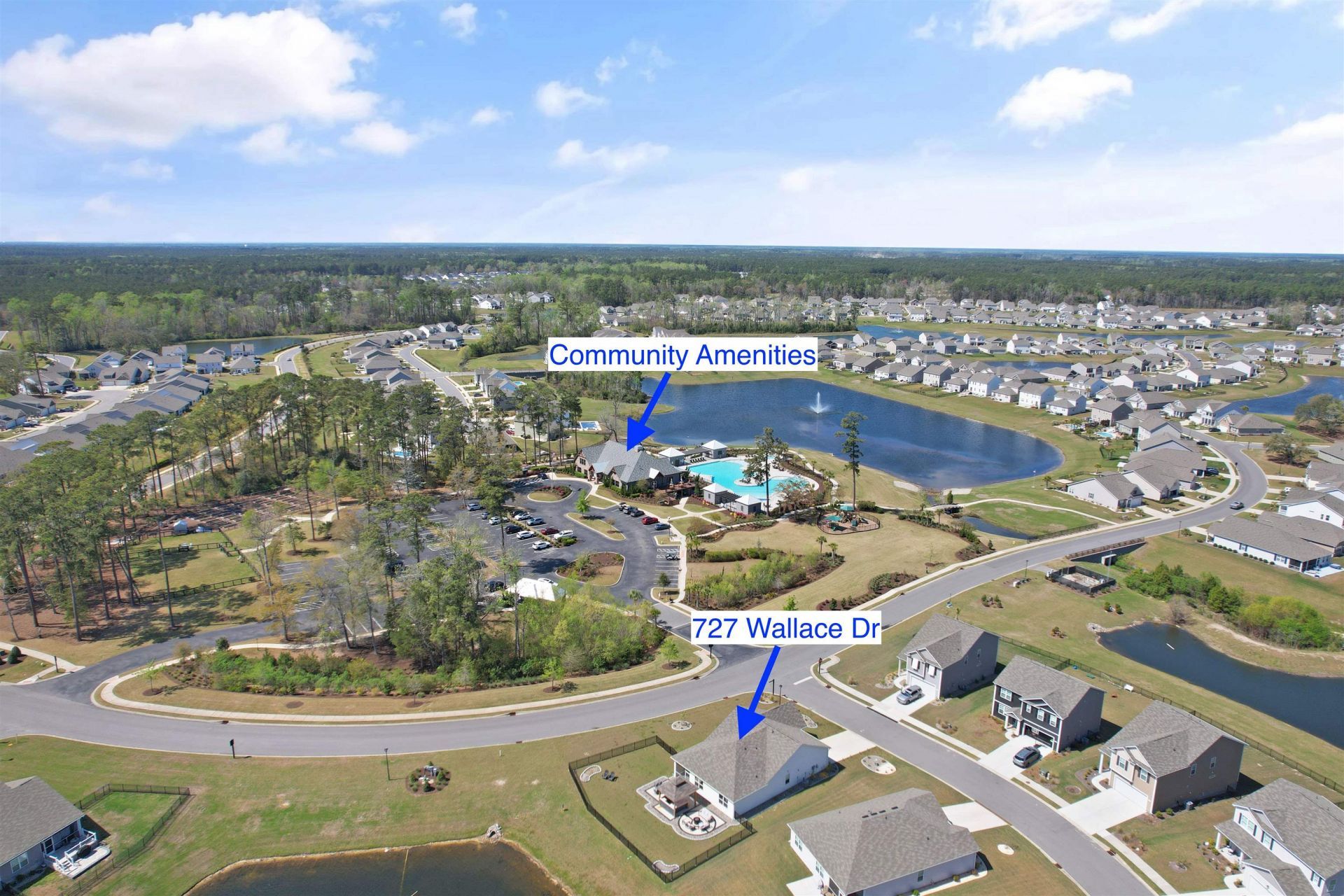 727 Wallace Dr. Photo 42