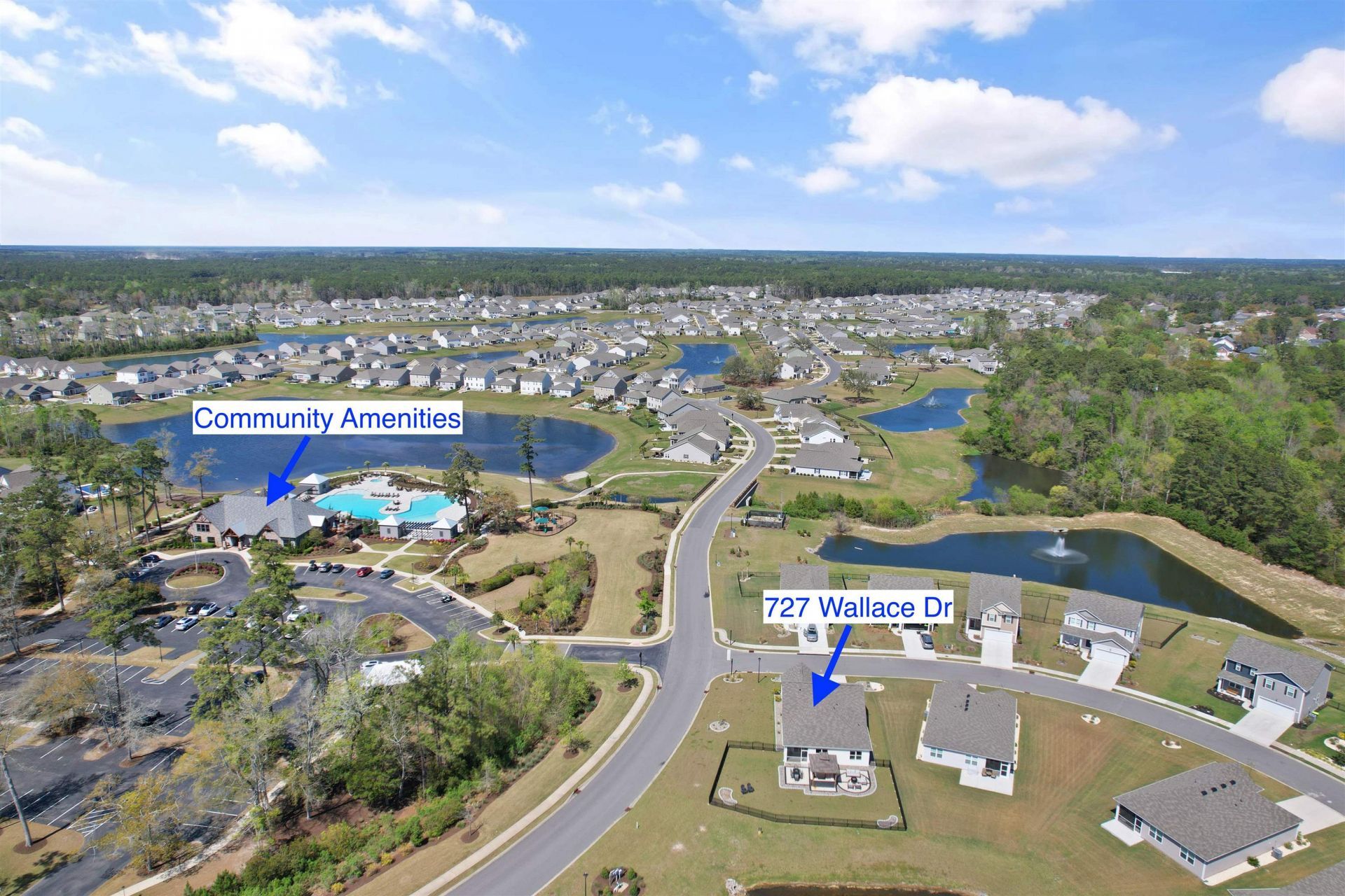 727 Wallace Dr. Photo 43