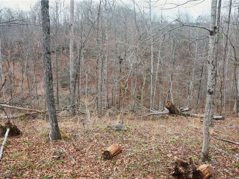 Brimstone Road, Coolville, OH 45723 Photo 11