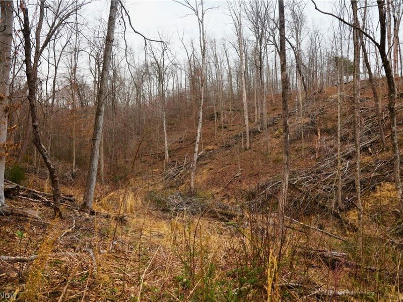 Brimstone Road, Coolville, OH 45723 Photo 12