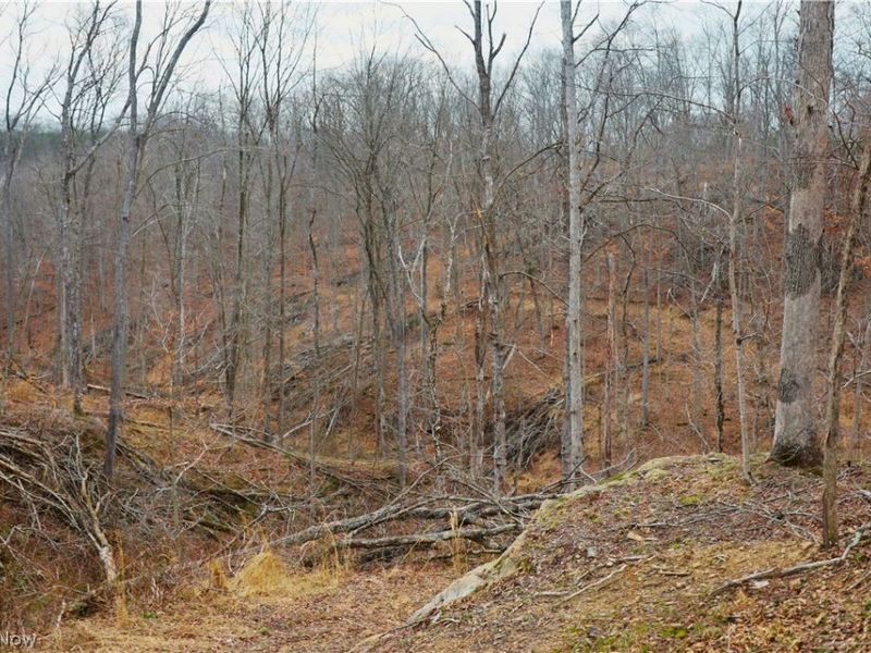 Brimstone Road, Coolville, OH 45723 Photo 14