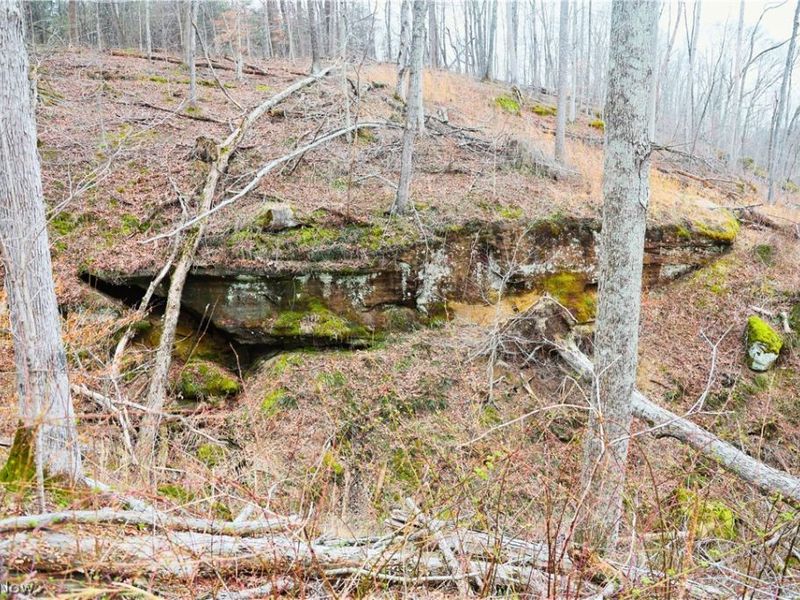 Brimstone Road, Coolville, OH 45723 Photo 15