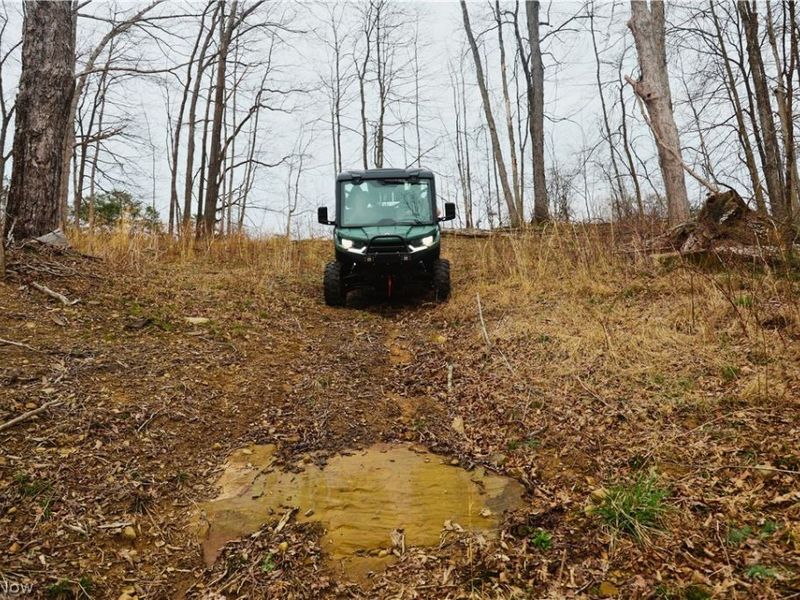 Brimstone Road, Coolville, OH 45723 Photo 16