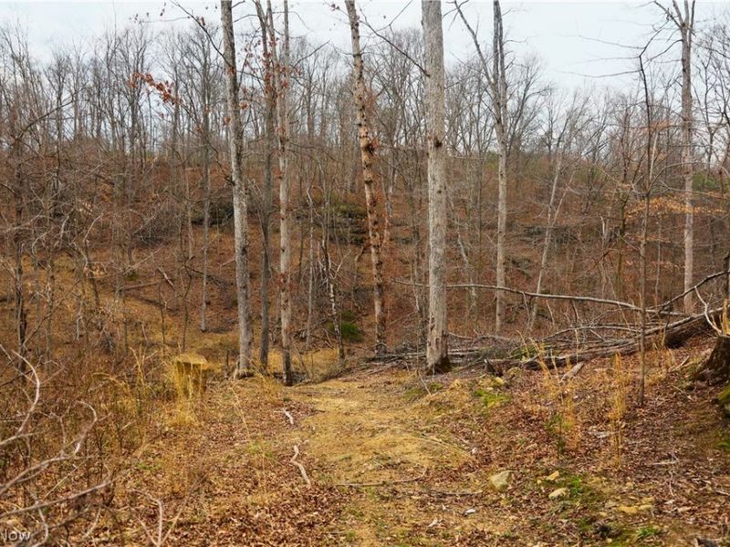 Brimstone Road, Coolville, OH 45723 Photo 17