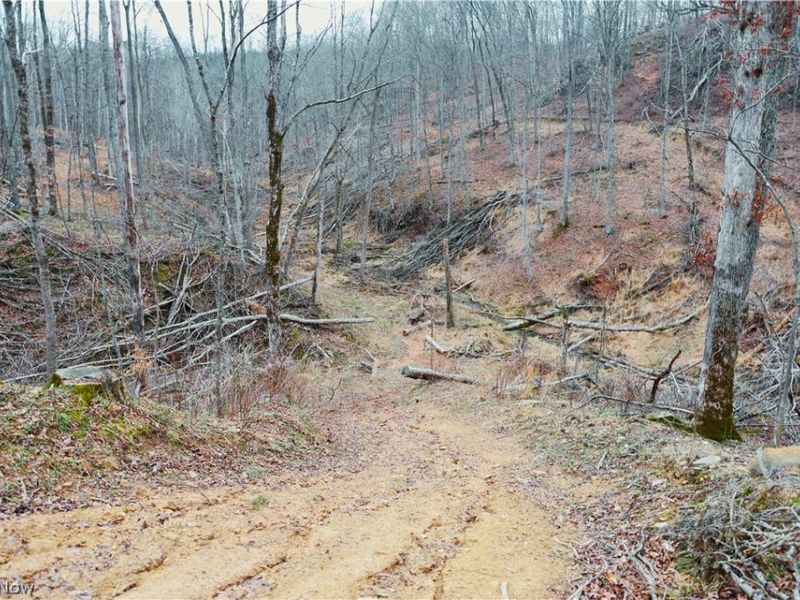 Brimstone Road, Coolville, OH 45723 Photo 18