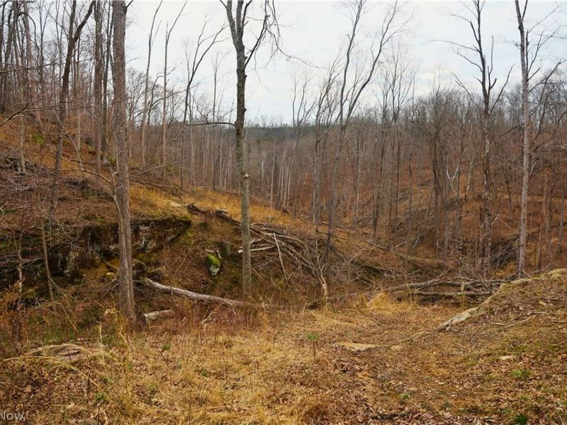 Brimstone Road, Coolville, OH 45723 Photo 2