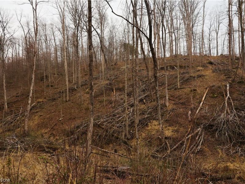 Brimstone Road, Coolville, OH 45723 Photo 20