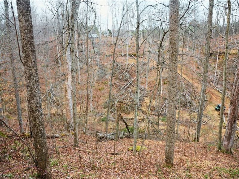 Brimstone Road, Coolville, OH 45723 Photo 22