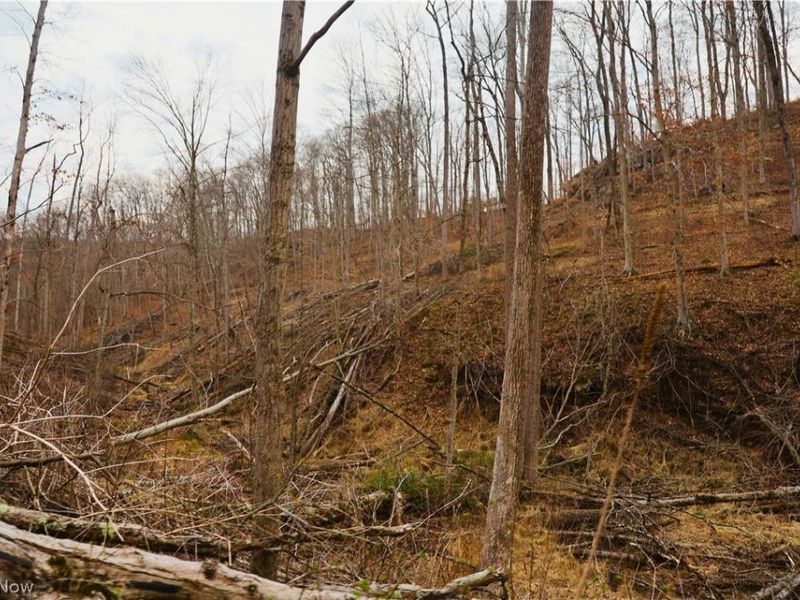 Brimstone Road, Coolville, OH 45723 Photo 23