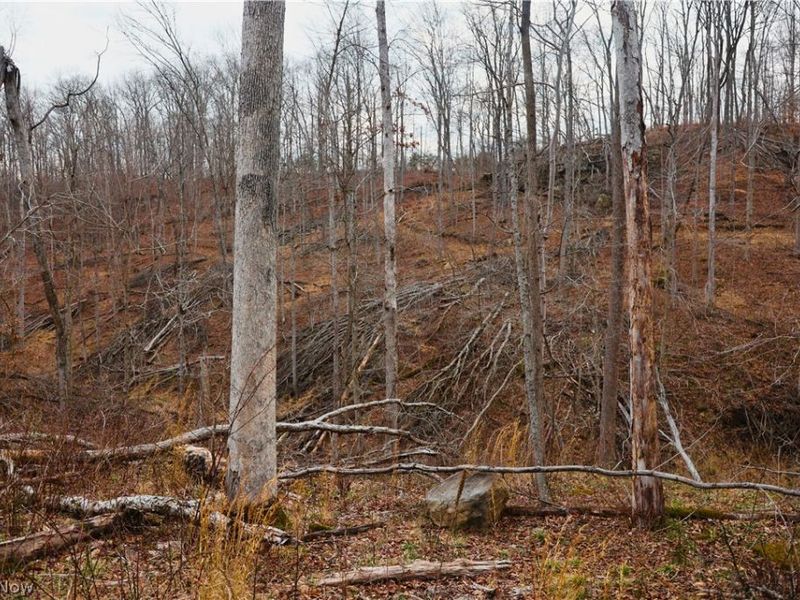 Brimstone Road, Coolville, OH 45723 Photo 24