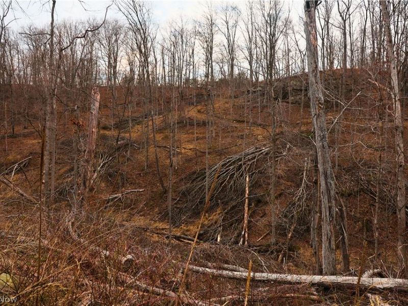 Brimstone Road, Coolville, OH 45723 Photo 25