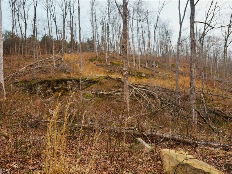 Brimstone Road, Coolville, OH 45723 Photo 27